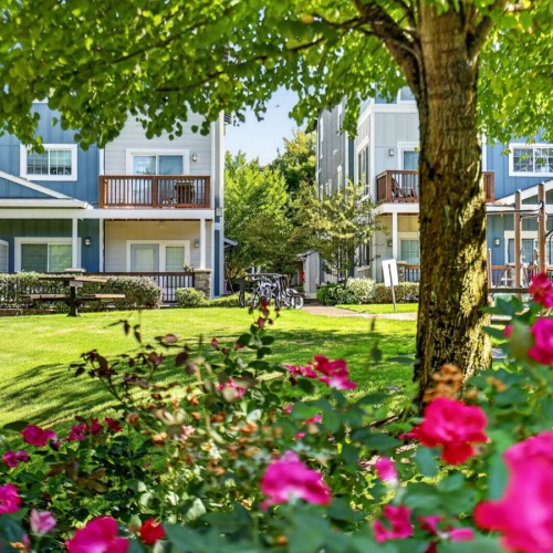 flower bed and tree with grass